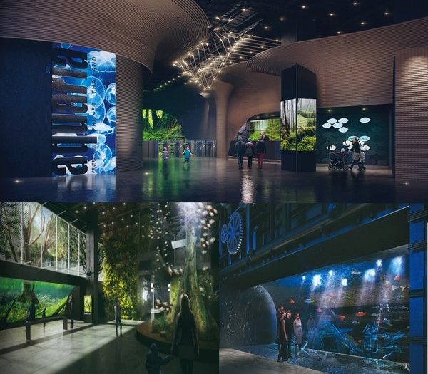 尚泰普吉全新水族馆暑期开放