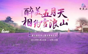 第七届雪浪山薰衣草观花节盛大启幕