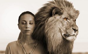 巴厘岛动物园推出夜游动物园冒险之旅