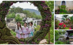 婺源篁岭鲜花小镇3.0隆重上线