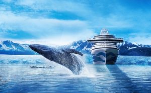 公主邮轮与广之旅合作推出“‘冰’临阿拉斯加”品牌月活动