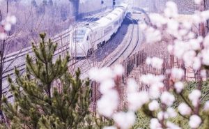 北京市郊铁路S5线可直达雁栖湖国际会展中心