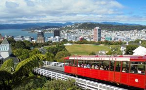 新西兰国家博物馆自然馆重新开放