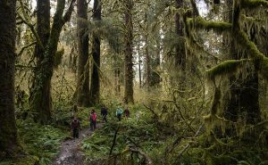 爱彼迎推超200项多天探险体验