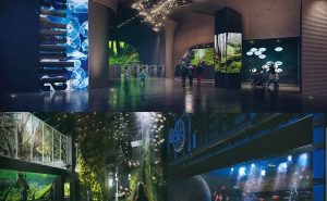 尚泰普吉全新水族馆暑期开放