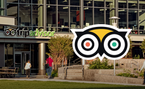 线上评论依然是游客预订前首选信息来源