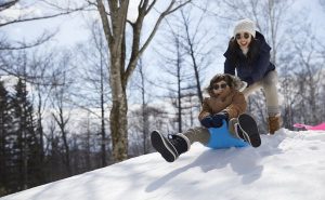 Club Med全速引领环球冰雪山林假期市场