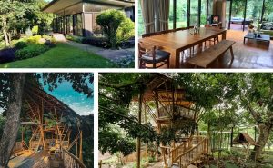 爱彼迎精选泰国极具视觉冲击力的热门房源