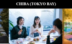 东方酒店及度假村三家酒店精装修后首次亮相