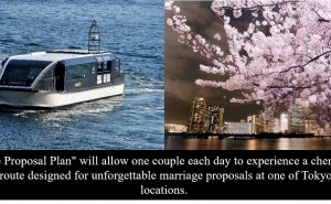 东方酒店及度假村打造专属樱花季住宿计划