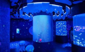 曼谷暹罗水族馆推出“水母宇宙”主题展区