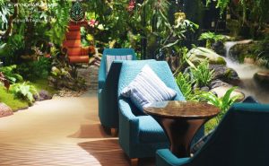 杭州温德姆至尊豪廷将200多种热带雨林植物搬进酒店