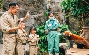 香港海洋公园提供丰富的休闲娱乐体验