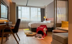 宠物经济崛起，希尔顿惠庭创新服务满足携宠出游需求