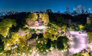 东京椿山庄大酒店推出全新庭园作品《空中宝塔》