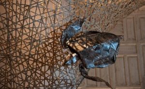 “纸”尖上的海洋：大型海洋动物艺术展在深圳美高梅酒店举办