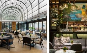 万豪旅享家成为太阳马戏团《KOOZA》香港站演出荣誉合作伙伴