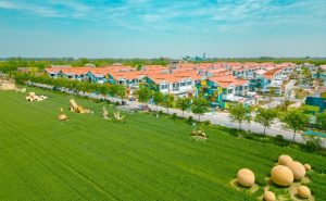 潮间带艺术村成为中国首个通过SGS ISO 14068-1核查的“零碳艺术村”