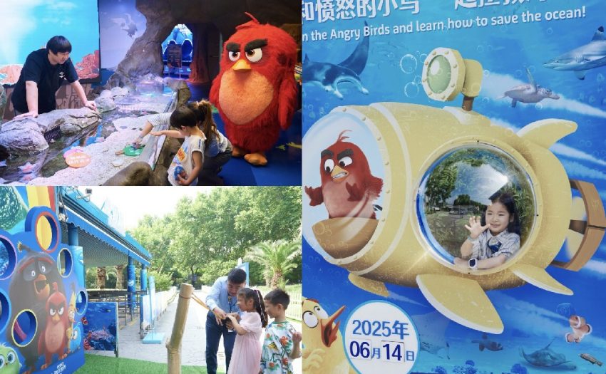 上海长风海洋世界将推出《愤怒的小鸟》限时体验