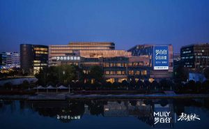 第二届梦百合“熬鹰杯”全国业余围棋大赛线下决赛收官