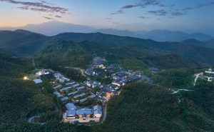 径山禅茶文化交流中心任命张乐萍为市场销售及文化推广总监