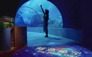 上海长风海洋世界推出“鳐鱼星空”及沉浸式体验项目