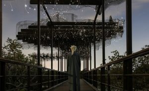 Manar Abu Dhabi灯光艺术展将于2025年11月回归