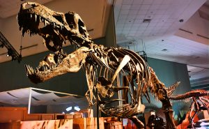 史诗级展览登陆新加坡，呈现4亿年地球历史、珍稀化石与40米长巨型恐龙