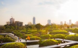 泰国旅游局强调曼谷绿地系统可提升旅行体验