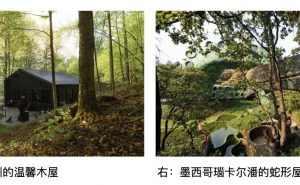 爱彼迎发布2025年度最受欢迎的十大「房客推荐」房源