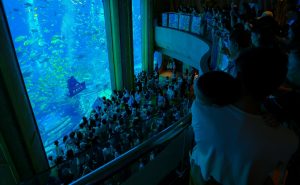 复星旅文春节假期旗下多元度假产品全线发力