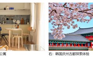 爱彼迎甄选春季韩国热门赏樱城市
